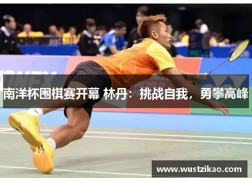 南洋杯围棋赛开幕 林丹：挑战自我，勇攀高峰